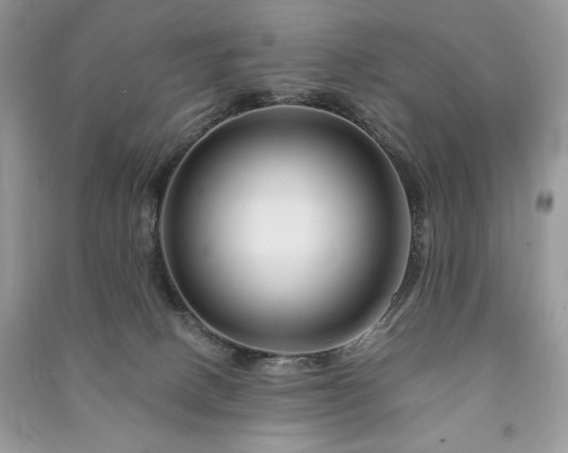 X0000090970082200708091445