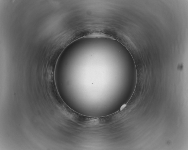 X0000090970083200708091445