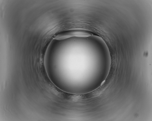 X0000090970085200708091445