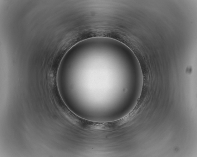 X0000090970086200708091445