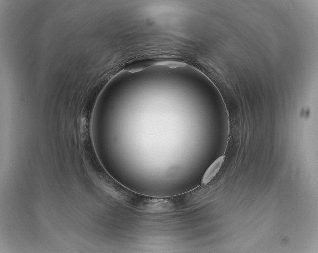 X0000090970087200708091445