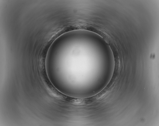 X0000090970088200708091445