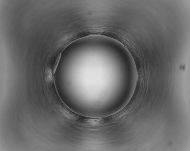 X0000090970089200708091445