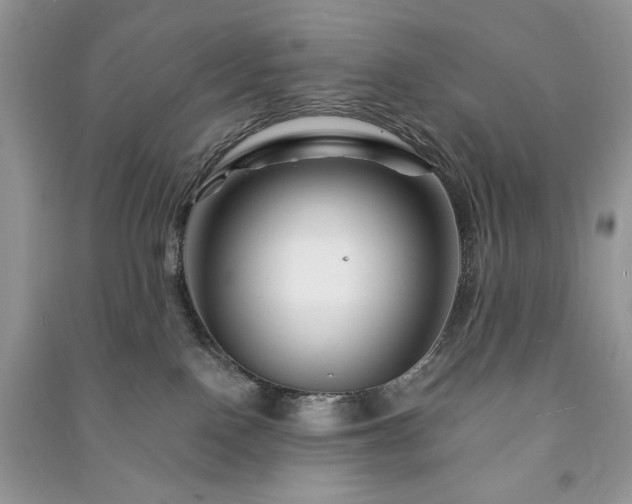 X0000090970090200708091445