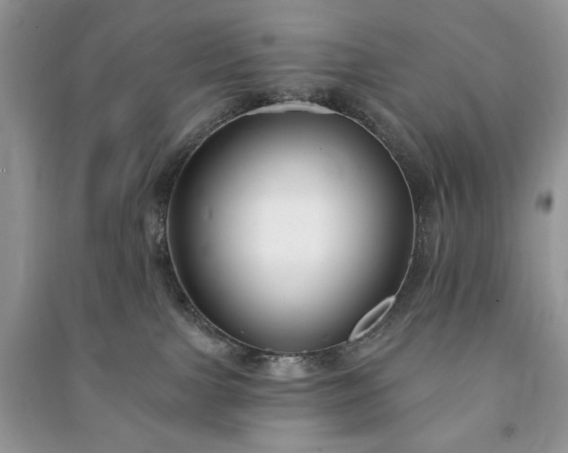 X0000090970091200708091445