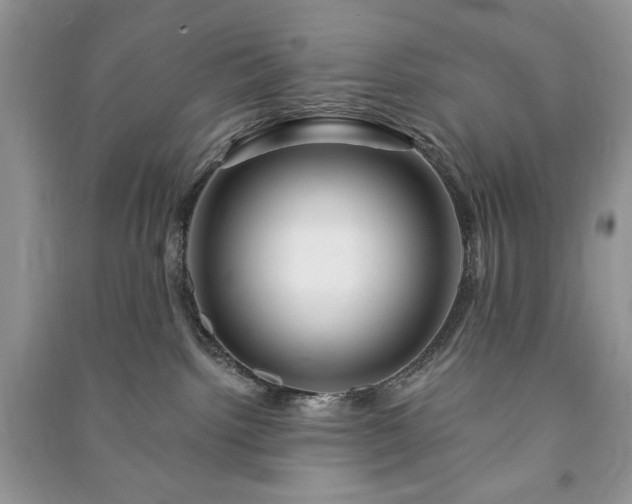 X0000090970092200708091445