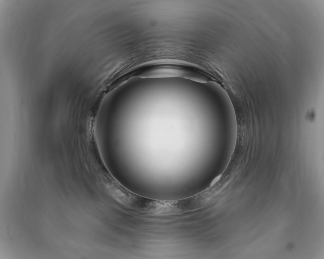 X0000090970093200708091445