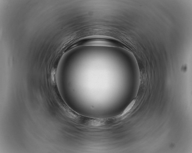 X0000090970094200708091445