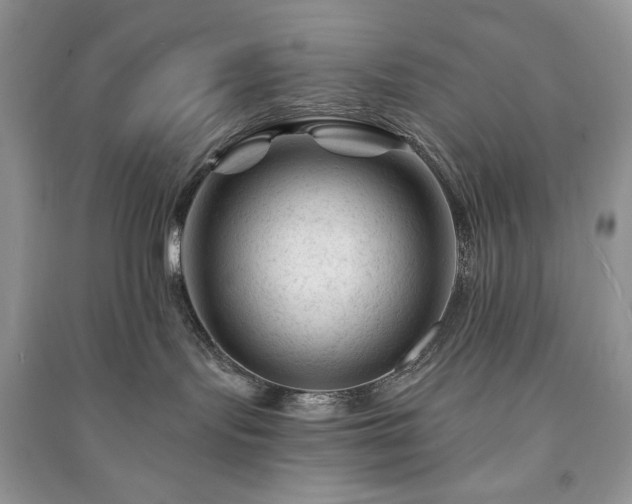 X0000090970095200708091445