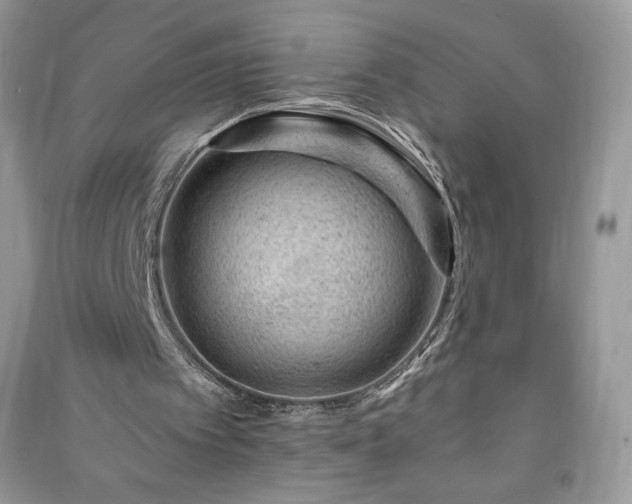 X0000090970097200708091445