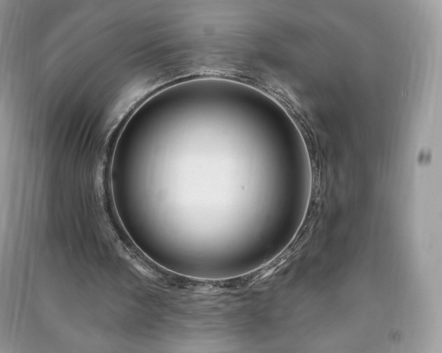 X0000090970098200708091445