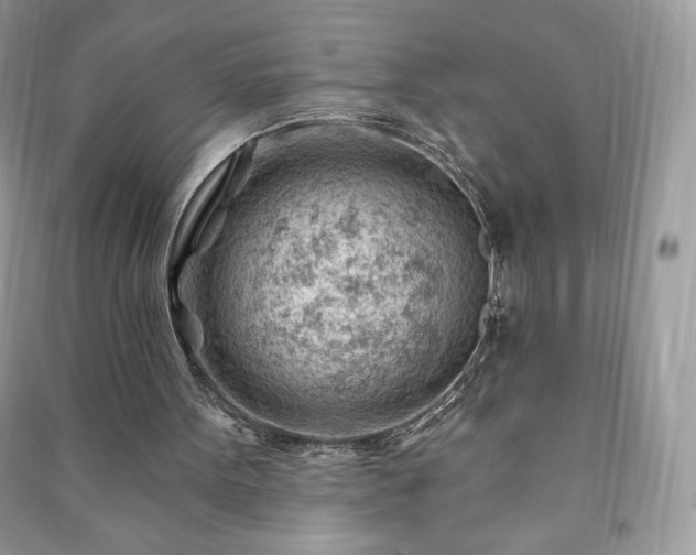 X0000090970099200708091445