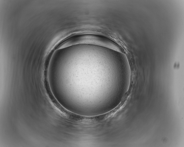 X0000090970101200708091445