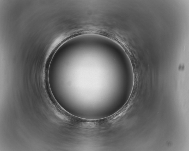 X0000090970102200708091445