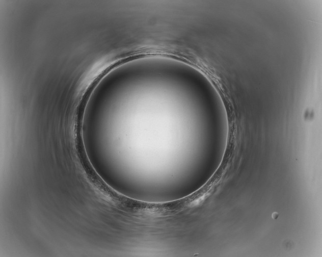 X0000090970103200708091445