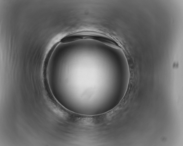 X0000090970104200708091445