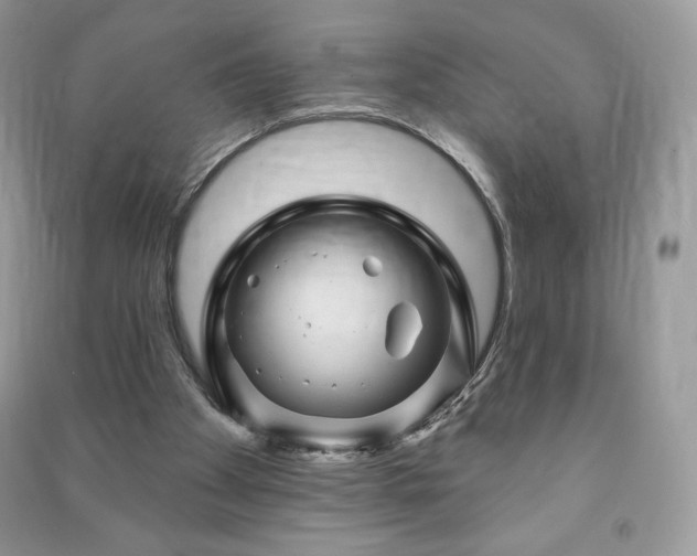 X0000090970105200708091445