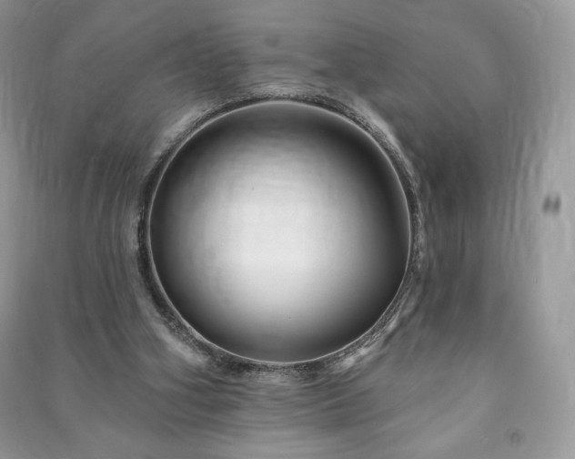 X0000090970106200708091445