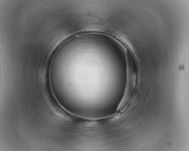 X0000090970108200708091445