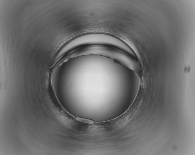 X0000090970109200708091445