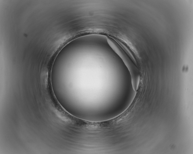 X0000090970110200708091445