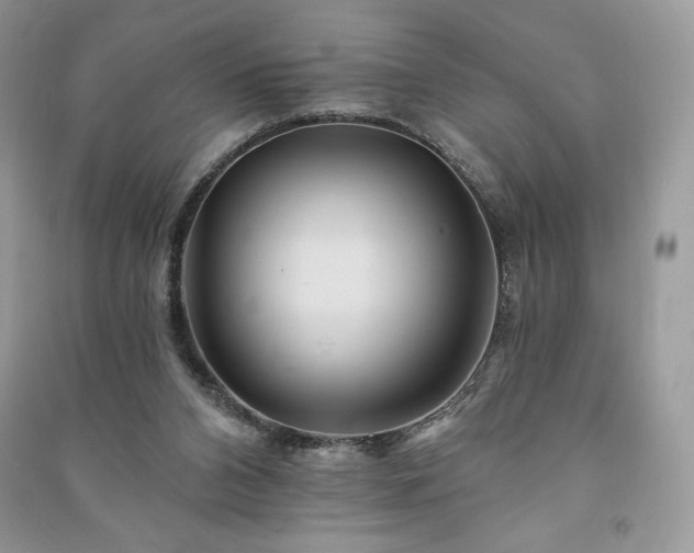 X0000090970112200708091445