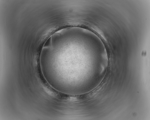 X0000090970114200708091445