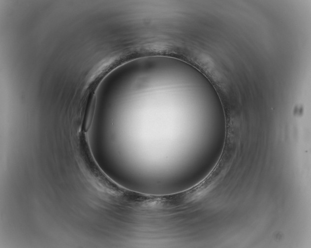 X0000090970116200708091444