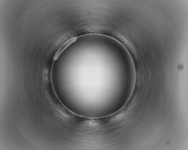 X0000090970117200708091444