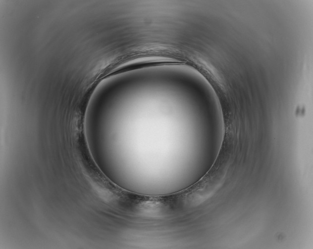 X0000090970119200708091444