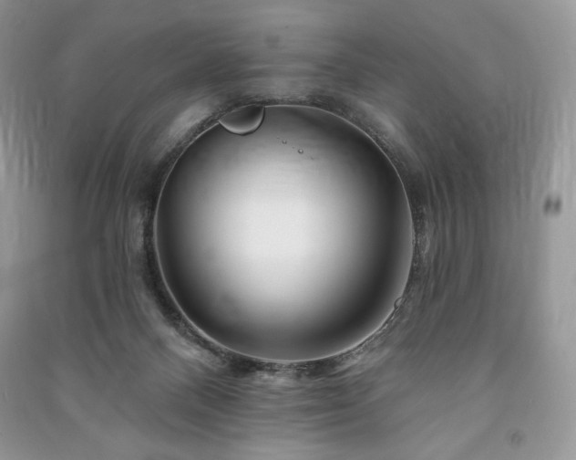 X0000090970120200708091444