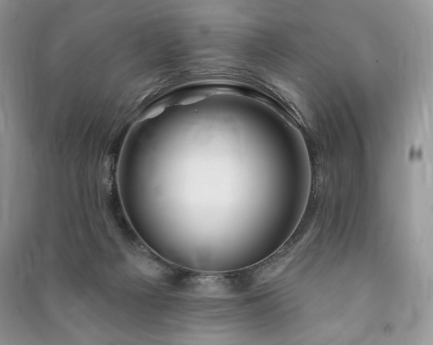 X0000090970121200708091444