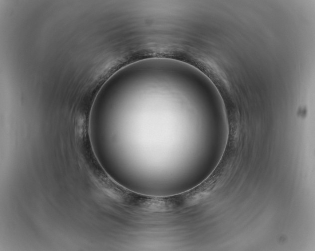 X0000090970123200708091444