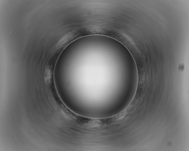 X0000090970124200708091444