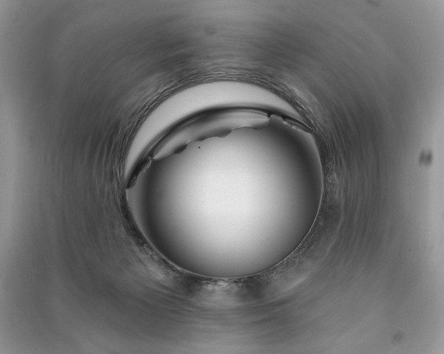 X0000090970125200708091444