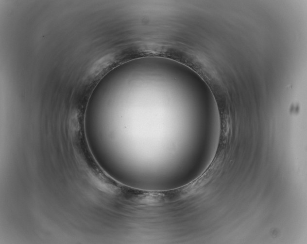 X0000090970128200708091444