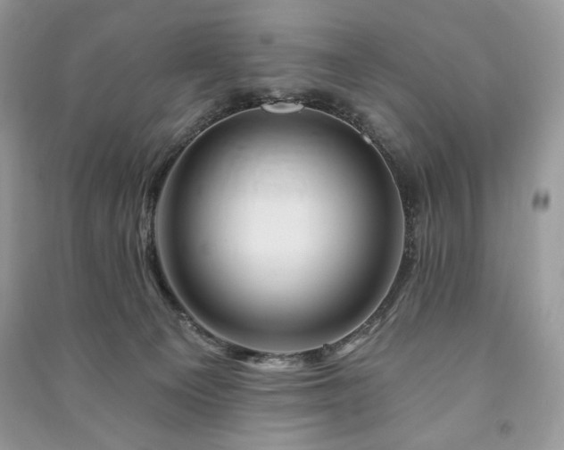 X0000090970129200708091444