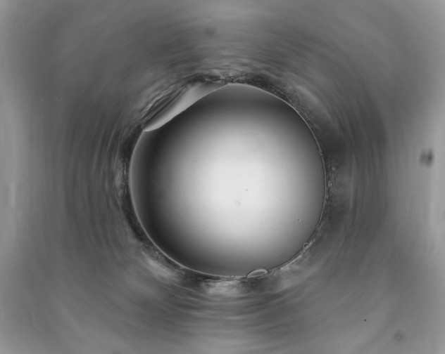 X0000090970132200708091444