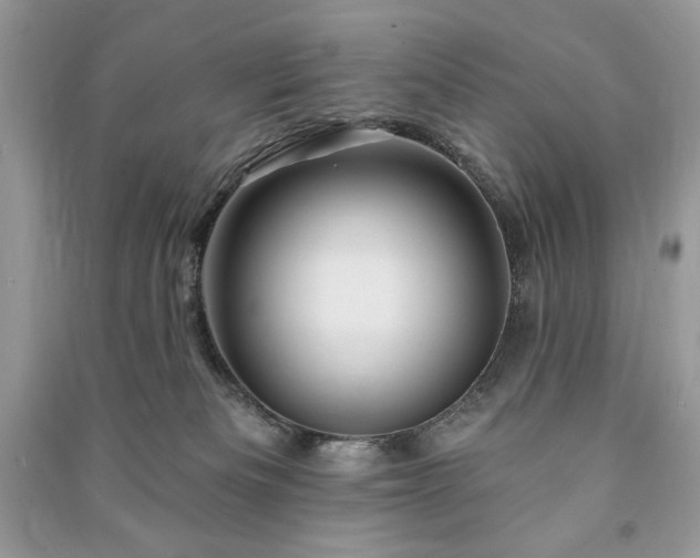 X0000090970133200708091444