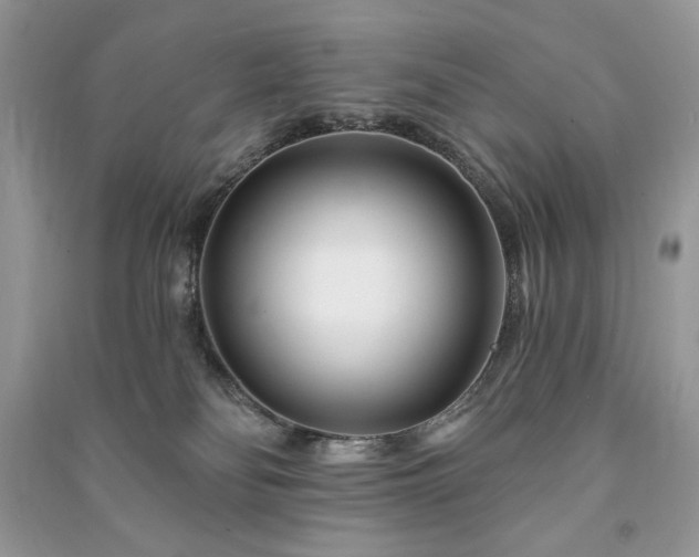 X0000090970134200708091444