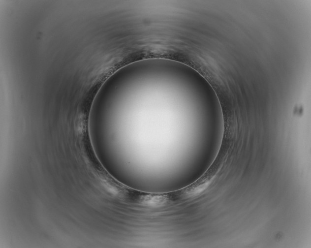 X0000090970135200708091444