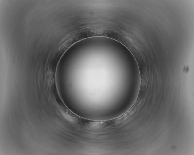 X0000090970136200708091444