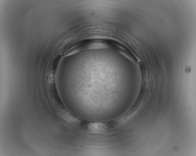 X0000090970137200708091444