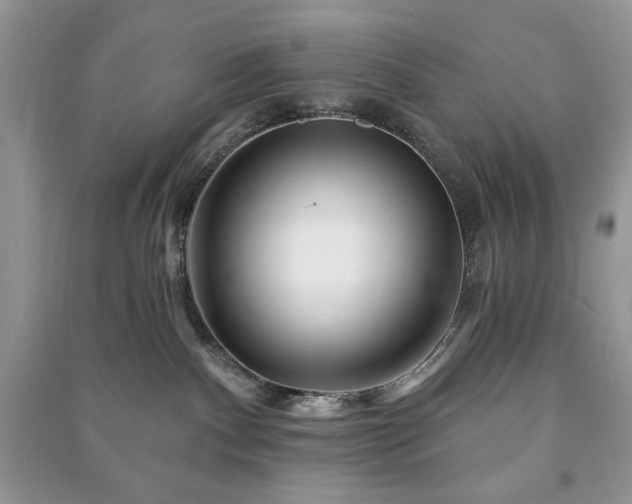 X0000090970140200708091444