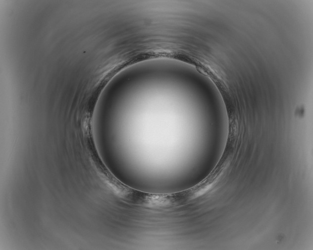 X0000090970141200708091444