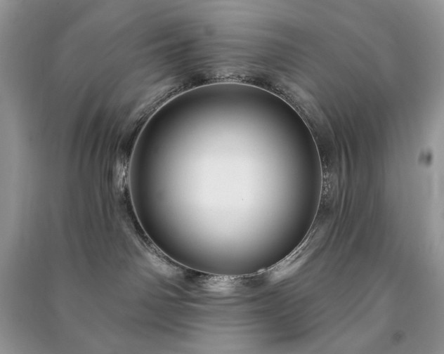 X0000090970142200708091444