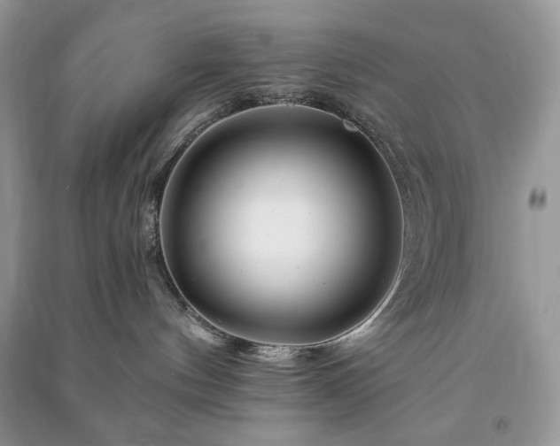 X0000090970144200708091444