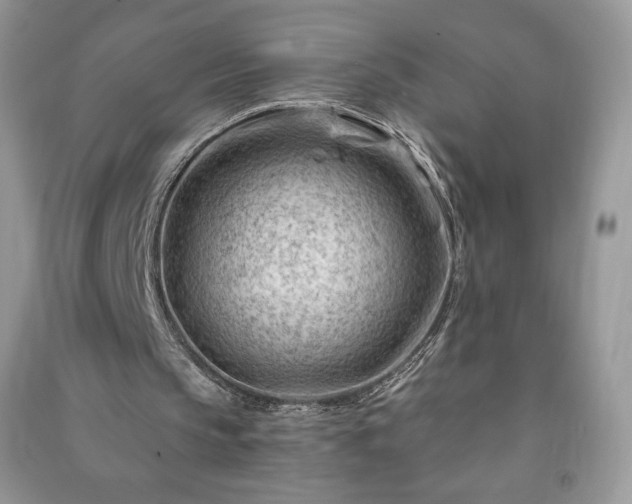 X0000090970145200708091443