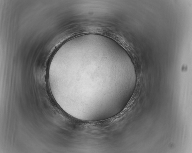 X0000090970146200708091443