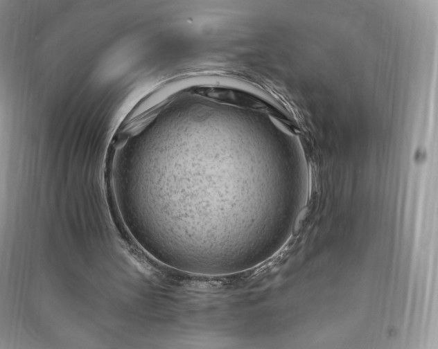 X0000090970147200708091443